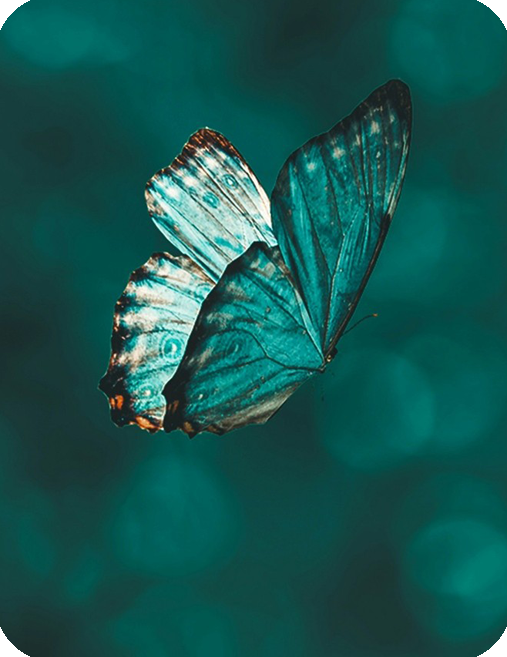 Descubrir el verdadero yo