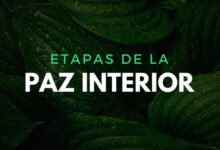 paz interior